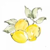 Lemons II by Chris Paschke (12 x 12)