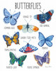 Nature Chart II by Farida Zaman (18 x 24)