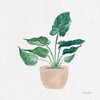 Home Garden III by Farida Zaman (24 x 24)