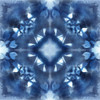 Navy Nature Kaleidoscope II by Nan (12 x 12)