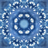 Navy Nature Kaleidoscope III by Nan (12 x 12)