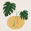 Simple Nature II by Tava Studios (24 x 24)