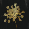 Lacy Gold II by Nan (12 x 12)