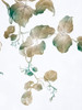 Windy Autumn Leaves 2 by Milli Villa (18 x 24)