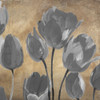 Grey Tulips II by Luca Villa (12 x 12)