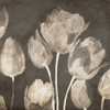Washed Tulips II by Luca Villa (12 x 12)