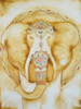 Natural Elephant by Pam Varacek (18 x 24)