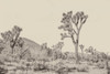 Joshua Tree II Neutral by Elizabeth Urquhart (24 x 18)