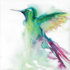 Hummingbirds III by Aimee Del Valle (12 x 12)