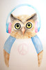Hip Owl by Pam Varacek (18 x 24)