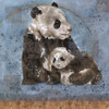 Fibonacci Panda VII by Marta Wiley (12 x 12)