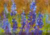 Blue Bell XIII by Marta Wiley (24 x 16)