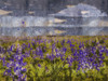 Blue Bell IIII by Marta Wiley (24 x 18)