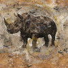 Fibonacci Ocher Rhino by Marta Wiley (12 x 12)