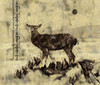 Deer-Original by Marta Wiley (24 x 18)