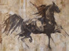 Chinese Lepa Zena I by Marta Wiley (24 x 18)