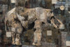 Elephant Collage Classic by Marta Wiley (24 x 18)