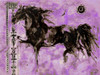 Lepa Zena XXIIII by Marta Wiley (24 x 18)