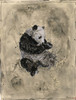 Panda- Beige by Marta Wiley (18 x 24)