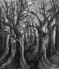 Cats BandW by Marta Wiley (18 x 24)