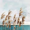 Summer Wind I by Aimee Wilson (24 x 24)