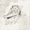 Silver Shell I by Aimee Wilson (24 x 24)