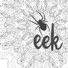 Spider Eek by Marla Rae (24 x 24)