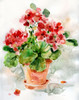 Summer Geranium I by Carol Robinson (18 x 24)