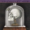 Apothecary Noir II by Sue Schlabach (24 x 24)