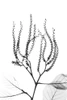 Reaching Branches by Albert Koetsier (18 x 24)