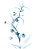 Blue Globe Lily by Albert Koetsier (18 x 24)