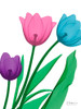 Shiny Tulips 2 by Albert Koetsier (18 x 24)
