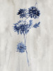 Indigo Botanical IV by Conrad Knutsen (18 x 24)