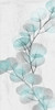 Eucalyptus Glow 2 by Albert Koetsier (12 x 24)