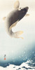 A jumping carp by Ohara Koson (12 x 24)