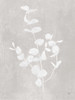 Botanical Study II Neutral Crop by Julia Purinton (18 x 24)