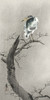 Kwak on branch by Ohara Koson (12 x 24)