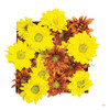 Floral Pop III by Donnie Quillen (12 x 12)