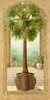 Palm Tree in Basket II by Janet Kruskamp (12 x 24)