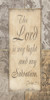 Light And My Salvation by Marcus Prime (12 x 24)