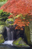 Oregon, Portland Waterfall and Japanese maple by Don Paulson (15 x 24)