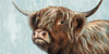 Highland Heifer by Dina Perejogina (24 x 18)