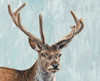 Reindeer by Dina Perejogina (24 x 18)