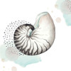 Turquoise Ocean Nautilus by Patricia Pinto (12 x 12)