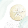 Turquoise Ocean Sand Dollar by Patricia Pinto (24 x 24)