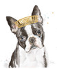 French Bulldog with Crown by Patricia Pinto (20 x 24)