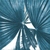 La Palmera in Turquoise II by Patricia Pinto (24 x 24)