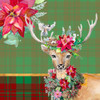 Holiday Reindeer on Plaid II by Patricia Pinto (12 x 12)