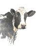 Watercolor Cow by Patricia Pinto (18 x 24)