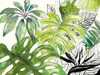 Green Palms Selva I by Patricia Pinto (24 x 18)